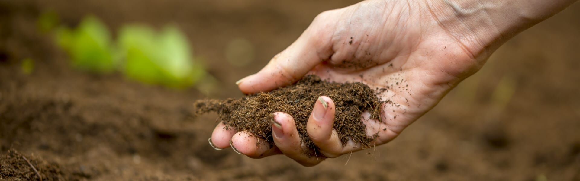 Capacitación sobre estrategias clave de manejo y conservación de suelos para agricultura sustentable