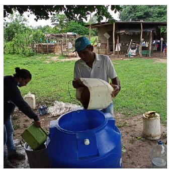 Potencia tus cultivos de forma natural: Aprende a preparar bioles para una agricultura sostenible