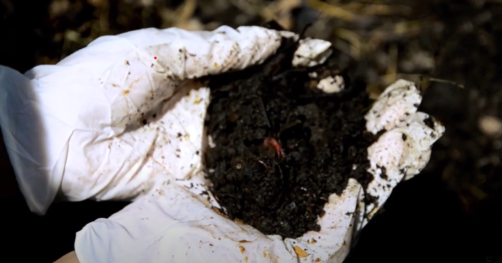 Transforma tus residuos en abono natural con el lombricompostaje