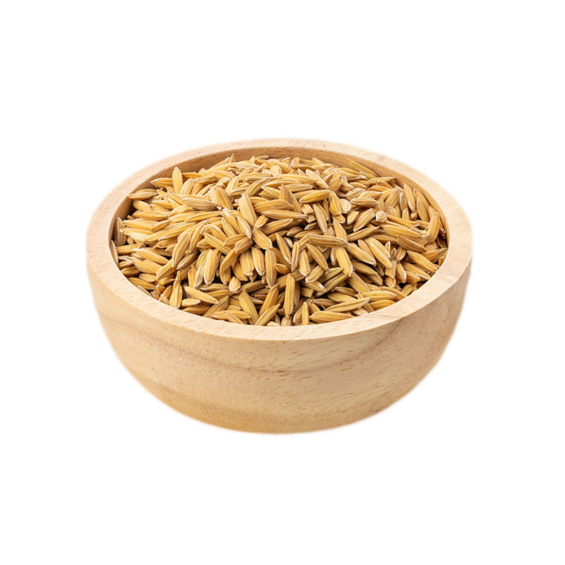 Semilla de Arroz
