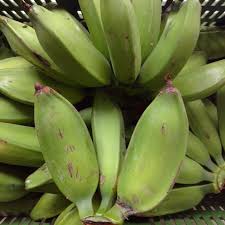 kilo plátano popocho