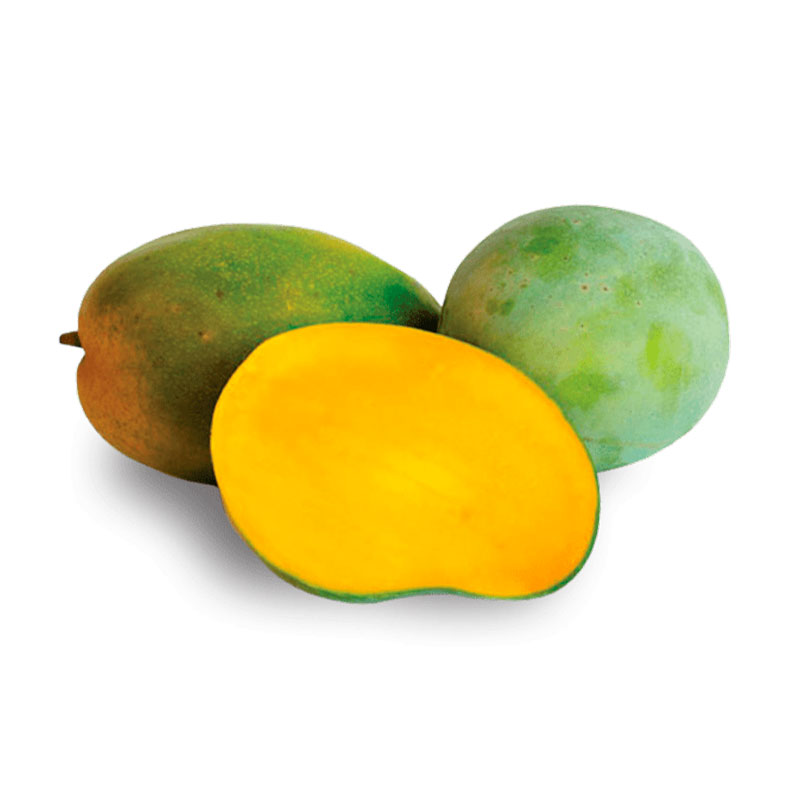 Mango keitt