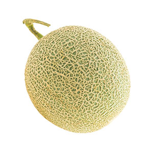 Melon