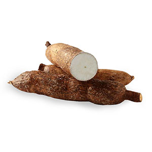 Yuca