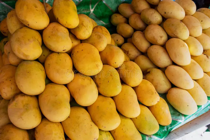 Mango Filipino